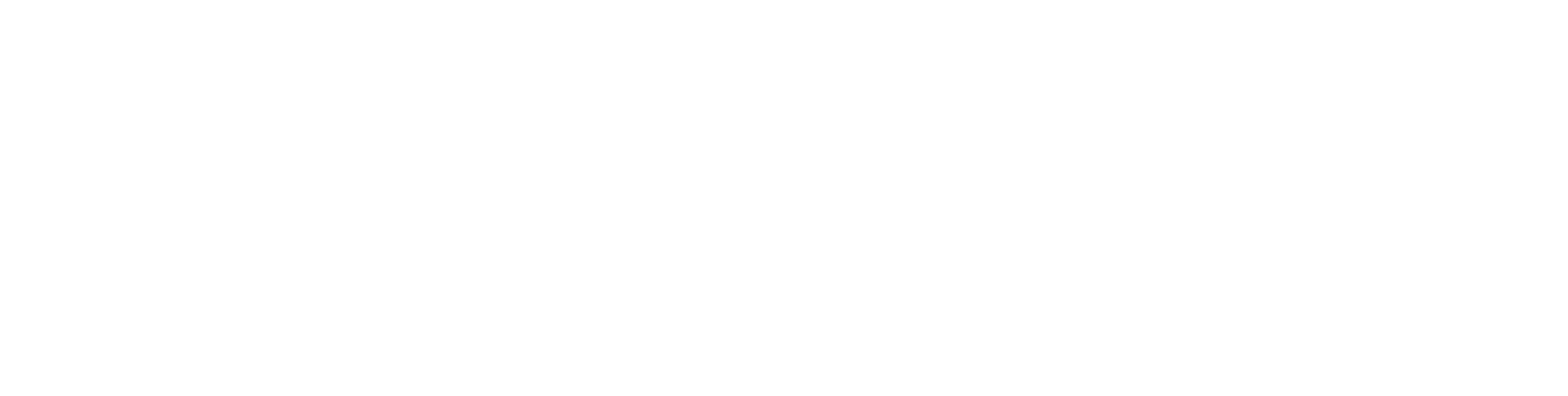 Raccoonies